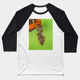 A bunch of bees? Baseball T-Shirt